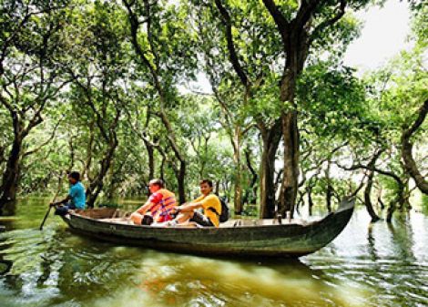 Kompong Phluk Flooded Forest