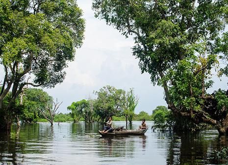 Kompong Phluk Flooded Forest